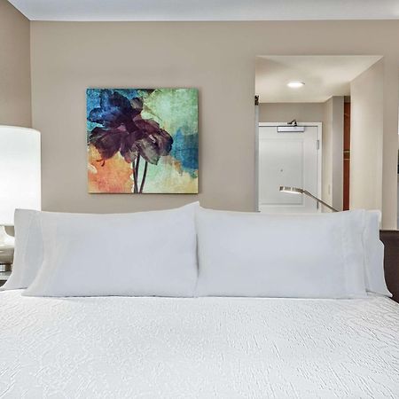 Hilton Garden Inn סן מרקוס מראה חיצוני תמונה